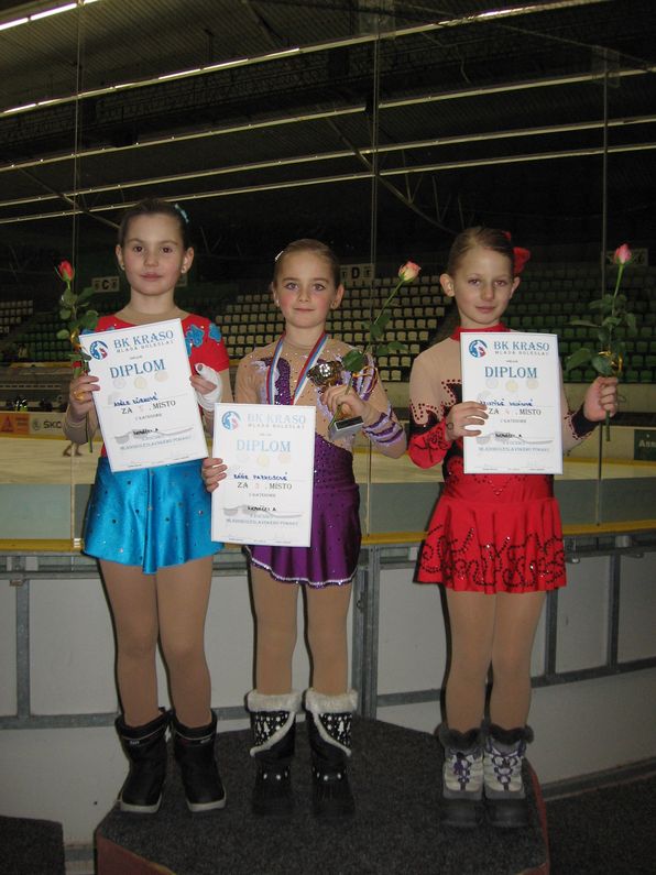 27.1.2013 - Mladá Boleslav_40