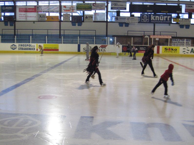 poslední trénink 2012-2013 - karneval_02