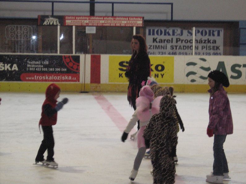 poslední trénink 2012-2013 - karneval_09