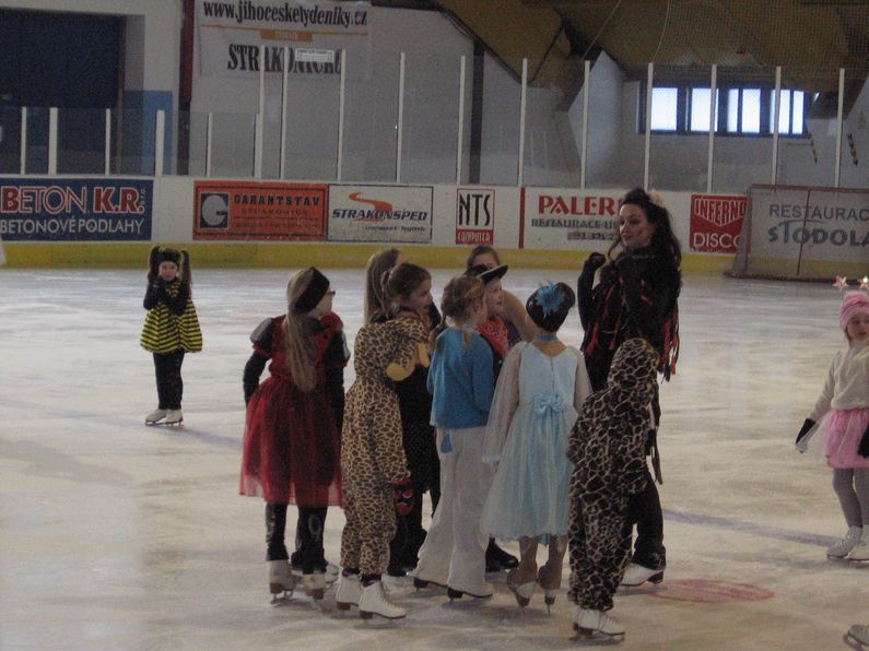 poslední trénink 2012-2013 - karneval_11