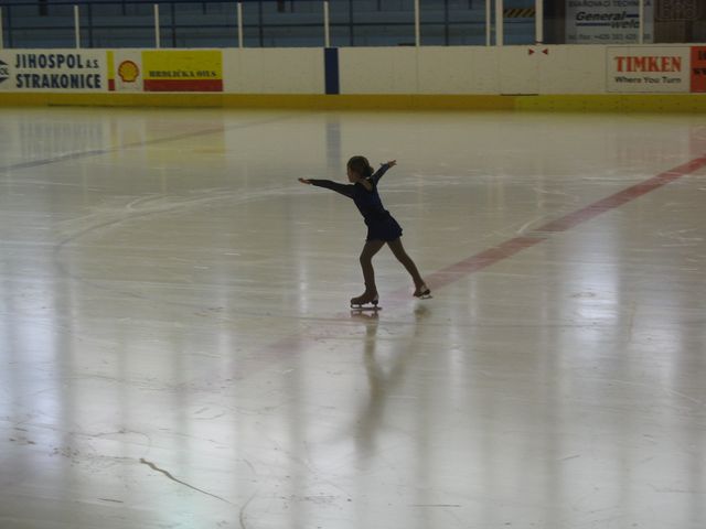 28.12.2010  Strakonice