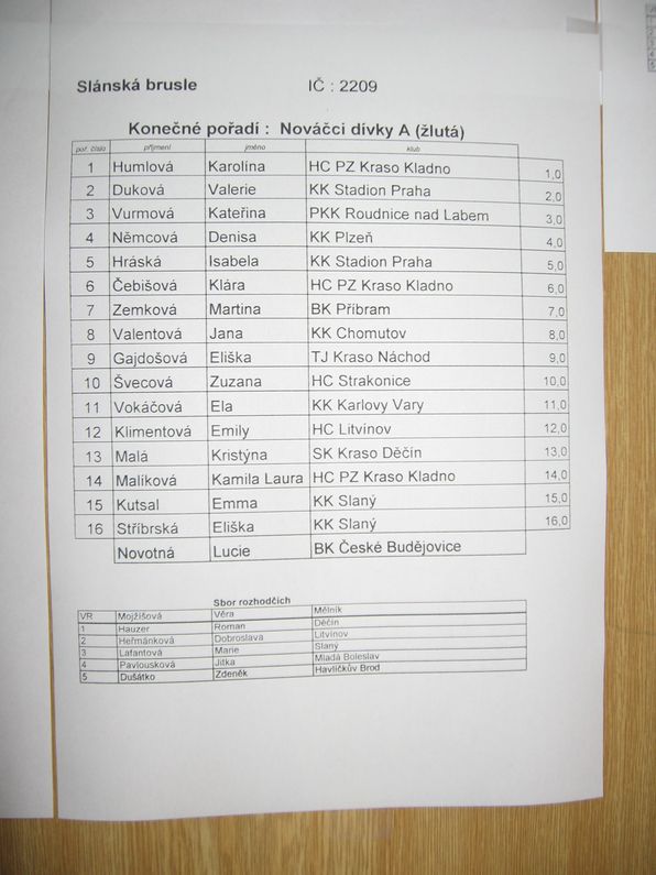 Slaný_03